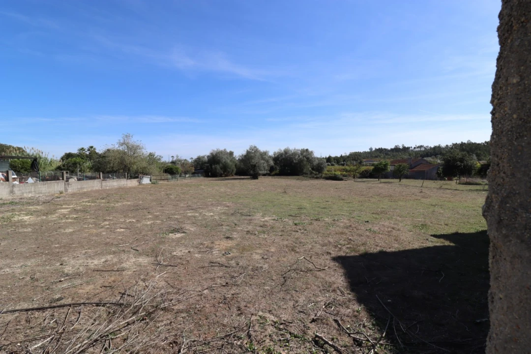 Terreno para Venda em Cantanhede e Pocariça Foto 4