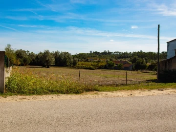 Terreno para Venda em Cantanhede e Pocariça