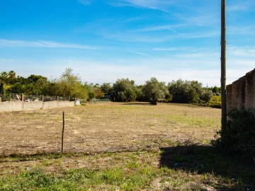 Terreno para Venda em Cantanhede e Pocariça