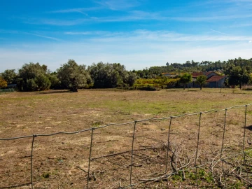 Terreno para Venda em Cantanhede e Pocariça