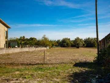 Terreno para Venda em Cantanhede e Pocariça