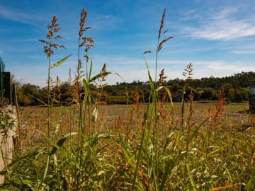 Terreno para Venda em Cantanhede e Pocariça