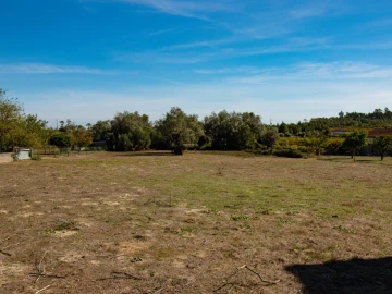 Terreno para Venda em Cantanhede e Pocariça