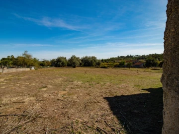 Terreno para Venda em Cantanhede e Pocariça