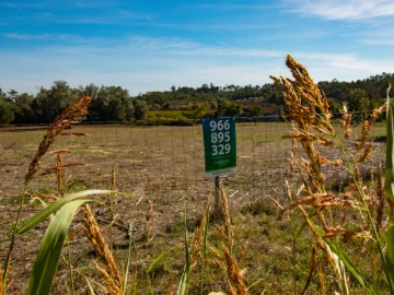 Terreno para Venda em Cantanhede e Pocariça