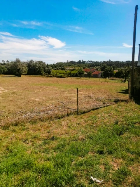 Terreno para Venda em Cantanhede e Pocariça