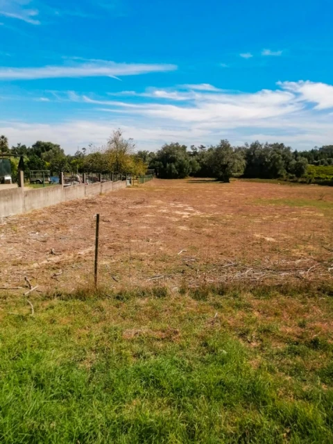 Terreno para Venda em Cantanhede e Pocariça