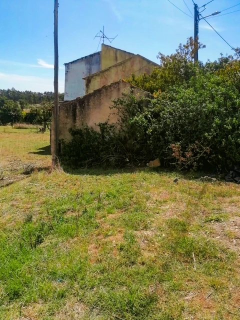 Terreno para Venda em Cantanhede e Pocariça