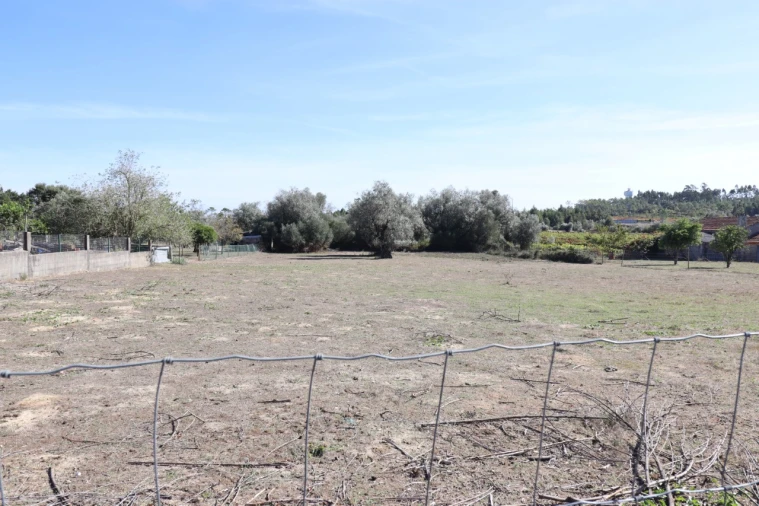 Terreno para Venda em Cantanhede e Pocariça Foto 5