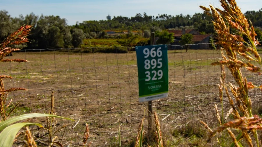 Terreno para Venda em Cantanhede e Pocariça