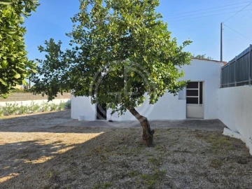 Terreno para Venda em Boliqueime
