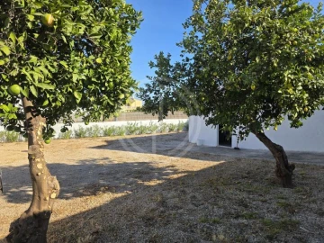 Terreno para Venda em Boliqueime