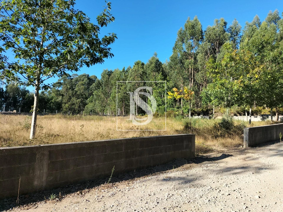 Terreno para Venda em Remelhe Foto 2