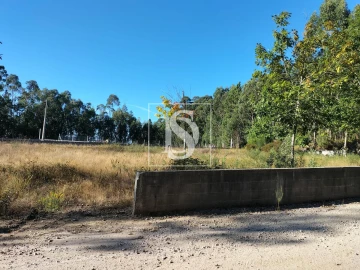 Terreno para Venda em Remelhe