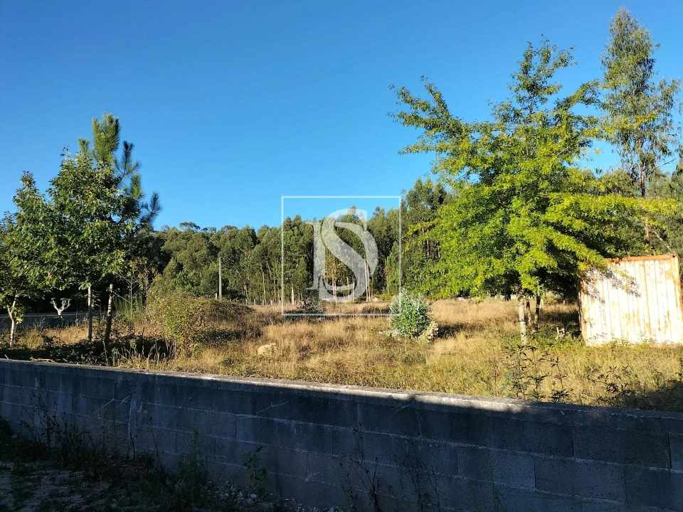 Terreno para Venda em Remelhe Foto 5