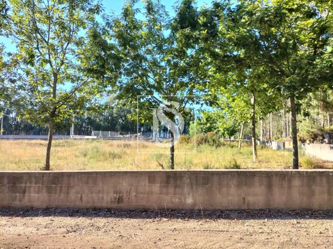 Terreno para Venda em Remelhe Foto 4