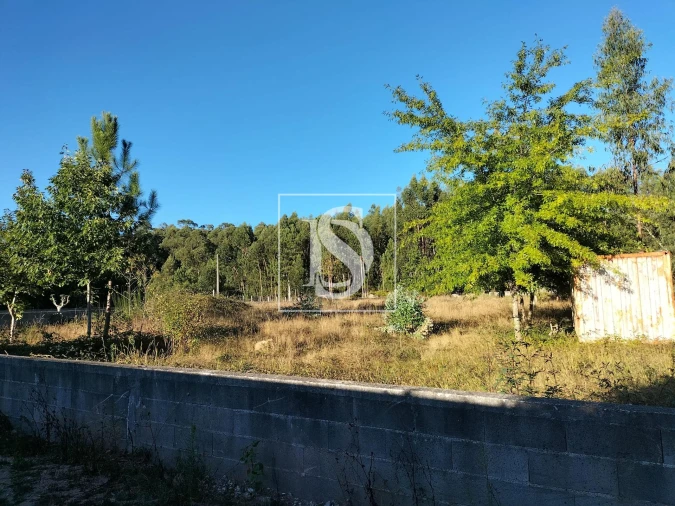 Terreno para Venda em Remelhe Foto 5