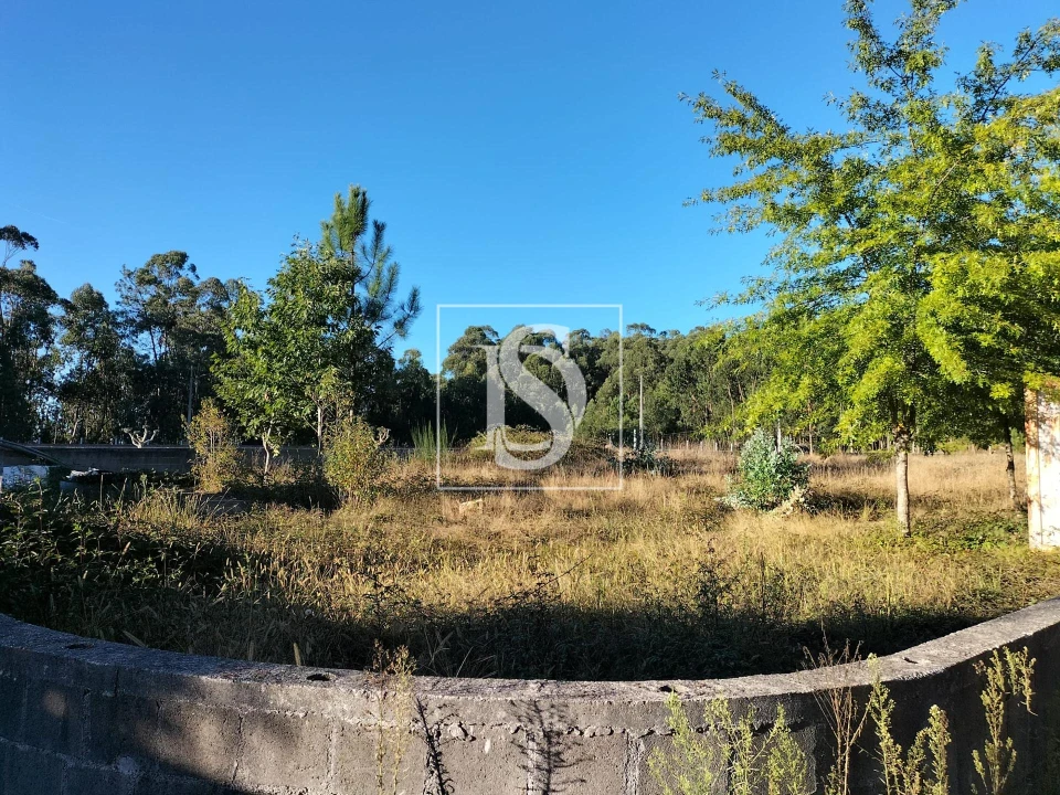 Terreno para Venda em Remelhe Foto 6