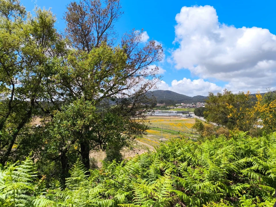 Terreno para Venda em Abade de Neiva Foto 16