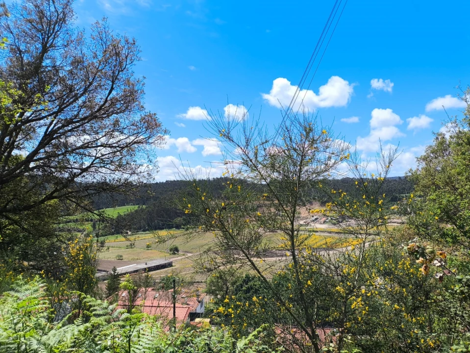Terreno para Venda em Abade de Neiva Foto 11