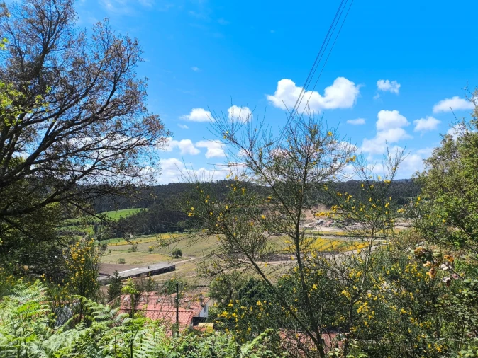 Terreno para Venda em Abade de Neiva Foto 11