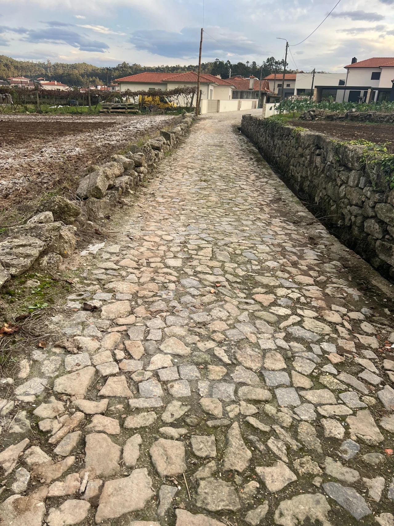 Moradia T3 para Venda em Pereira Foto 33