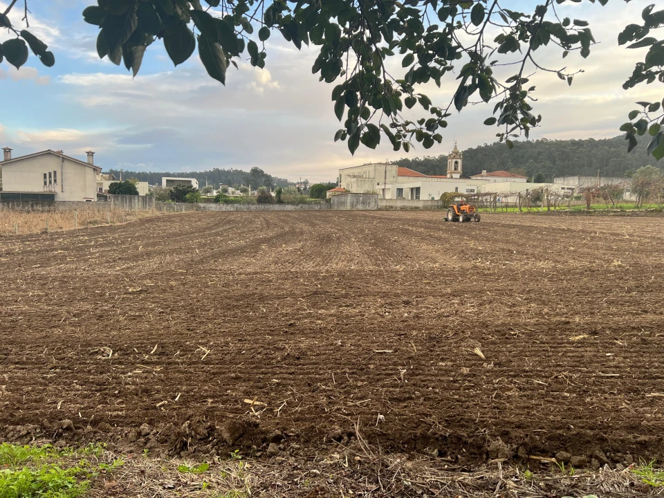Moradia T3 para Venda em Pereira Foto 36