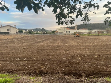 Moradia T3 para Venda em Pereira