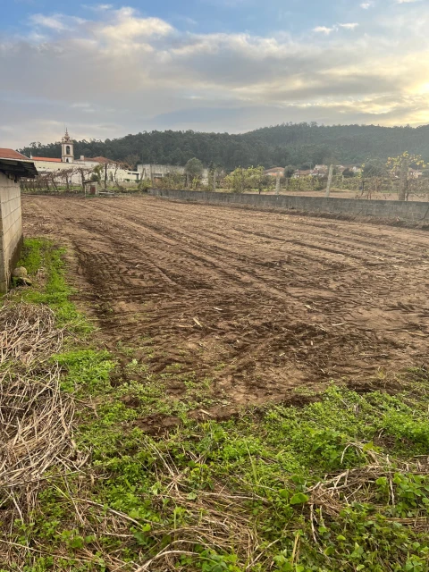 Moradia T3 para Venda em Pereira