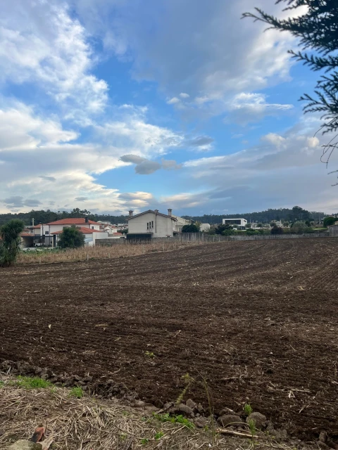 Moradia T3 para Venda em Pereira