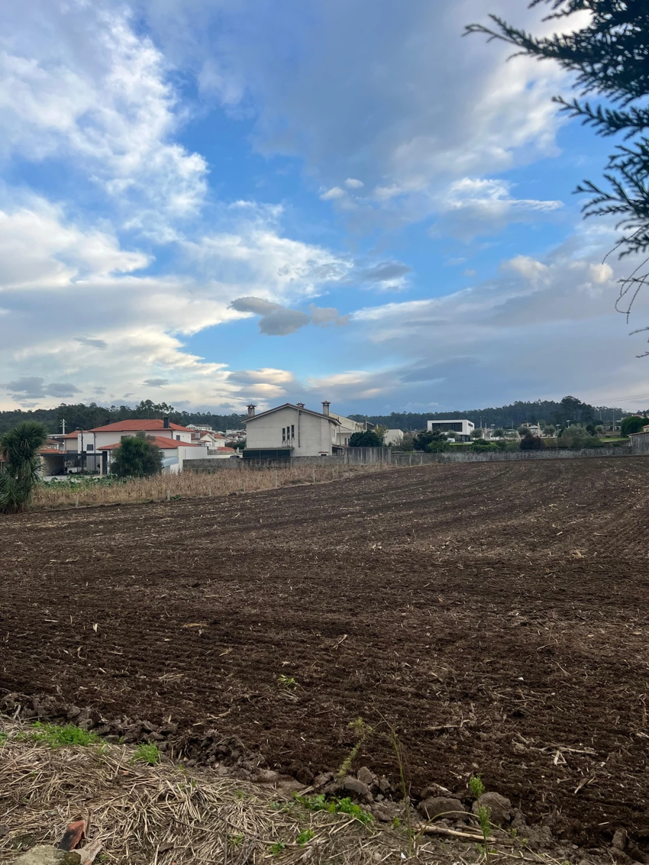 Moradia T3 para Venda em Pereira Foto 17