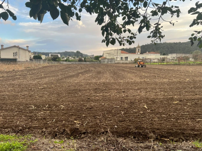 Moradia T3 para Venda em Pereira Foto 36