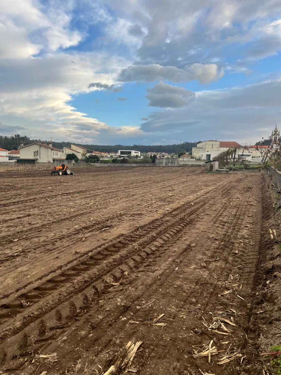Moradia T3 para Venda em Pereira Foto 22