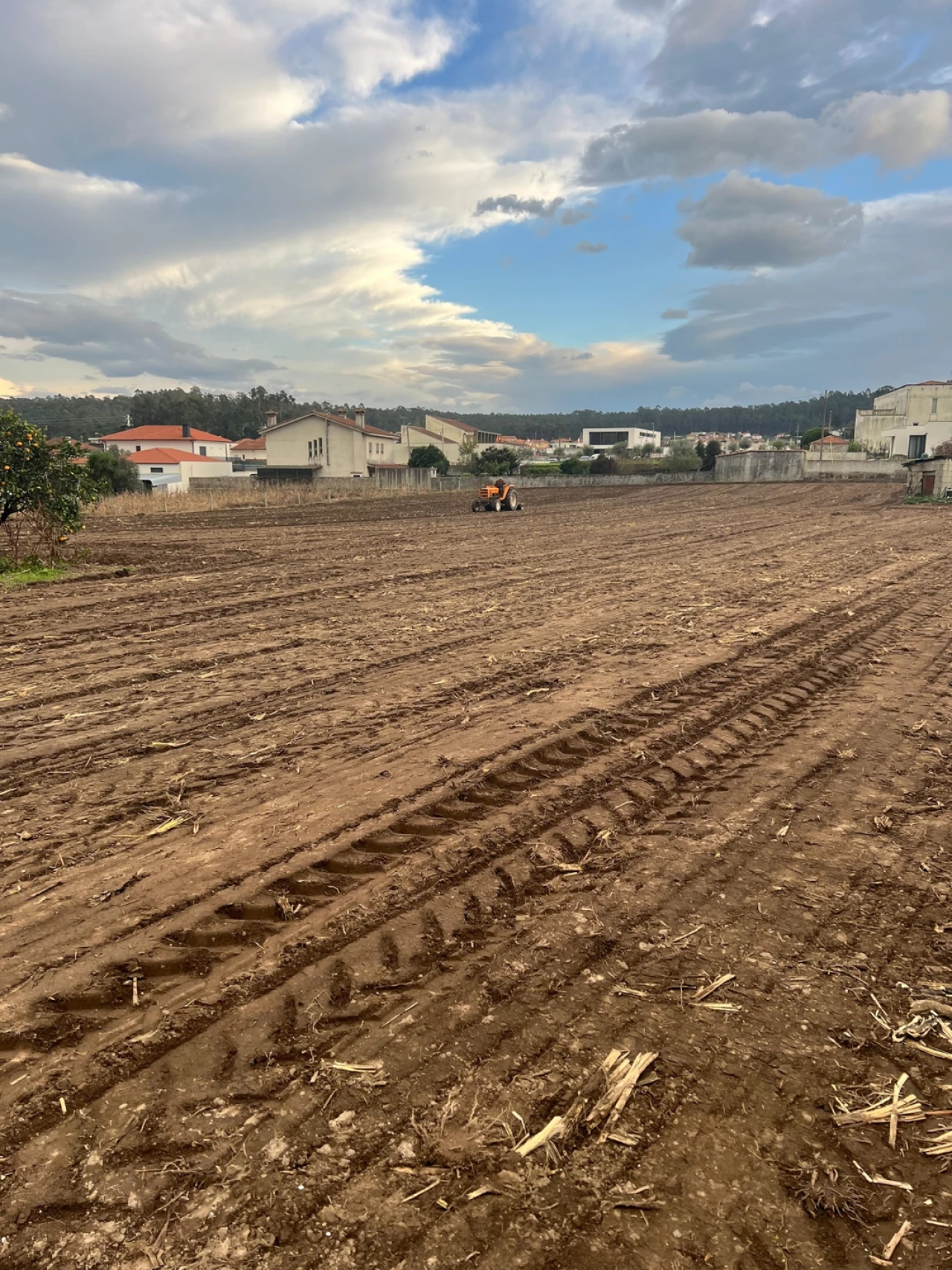 Moradia T3 para Venda em Pereira Foto 20