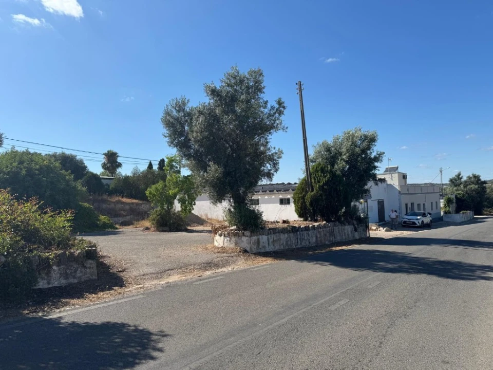 Terreno para Venda em Santa Barbara de Nexe Foto 21