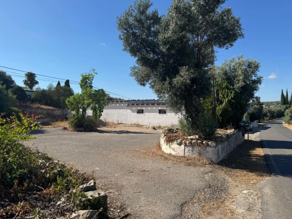 Terreno para Venda em Santa Barbara de Nexe Foto 19