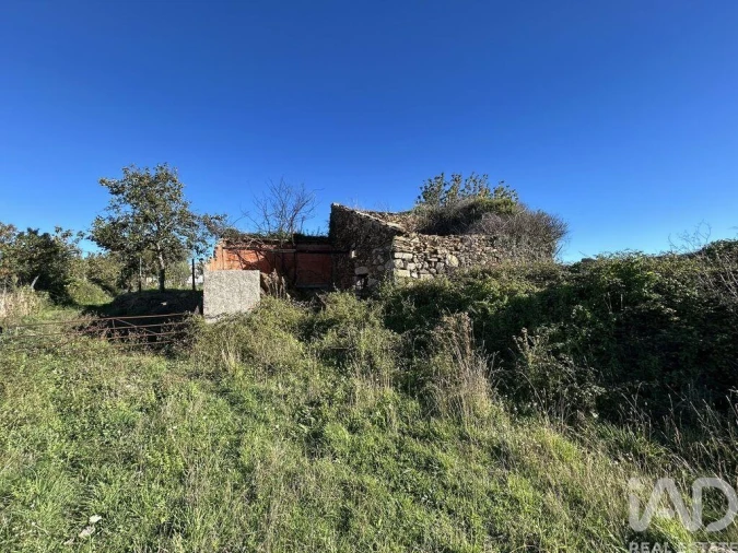 Terreno para Venda em Seia, São Romão e Lapa dos Dinheiros Foto 3