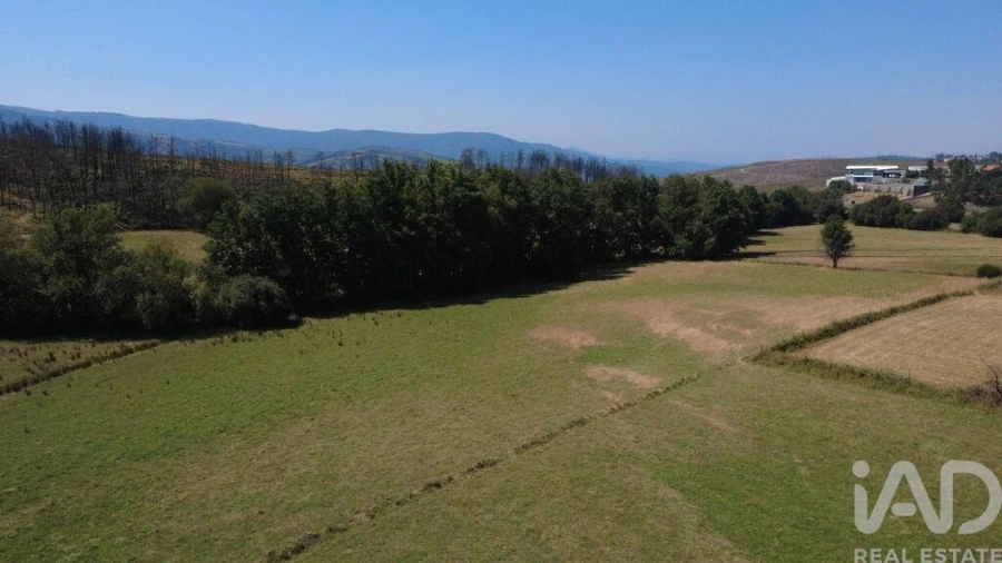 Terreno para Venda em Seia, São Romão e Lapa dos Dinheiros Foto 7