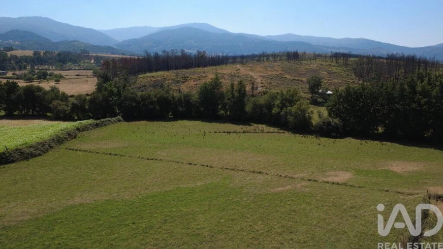 Terreno para Venda em Seia, São Romão e Lapa dos Dinheiros Foto 4