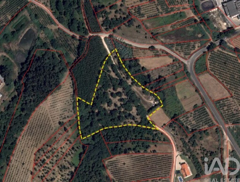 Terreno para Venda em Cadaval e Pêro Moniz Foto 3