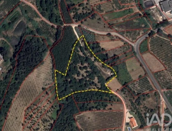 Terreno para Venda em Cadaval e Pêro Moniz