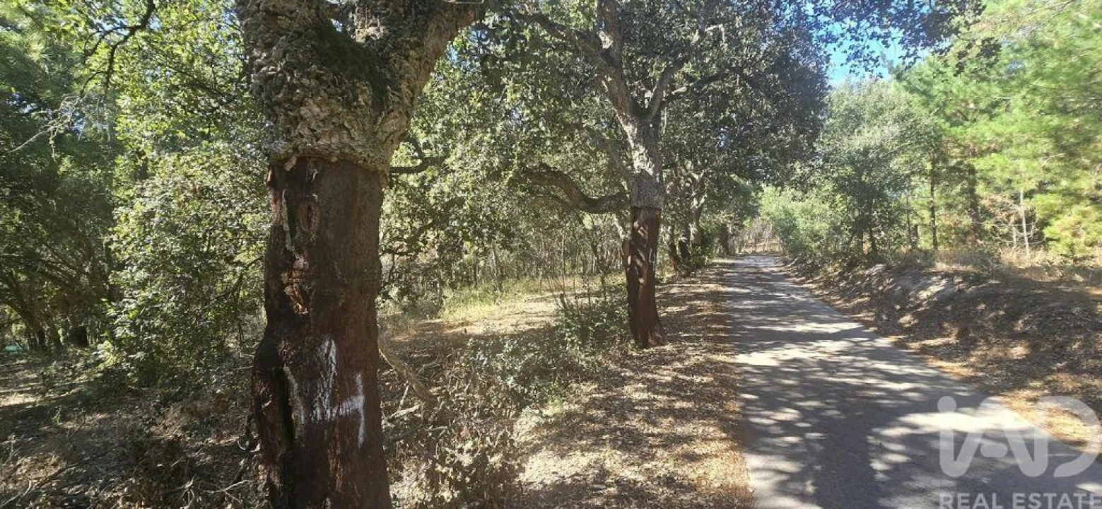 Terreno para Venda em Cadaval e Pêro Moniz Foto 2
