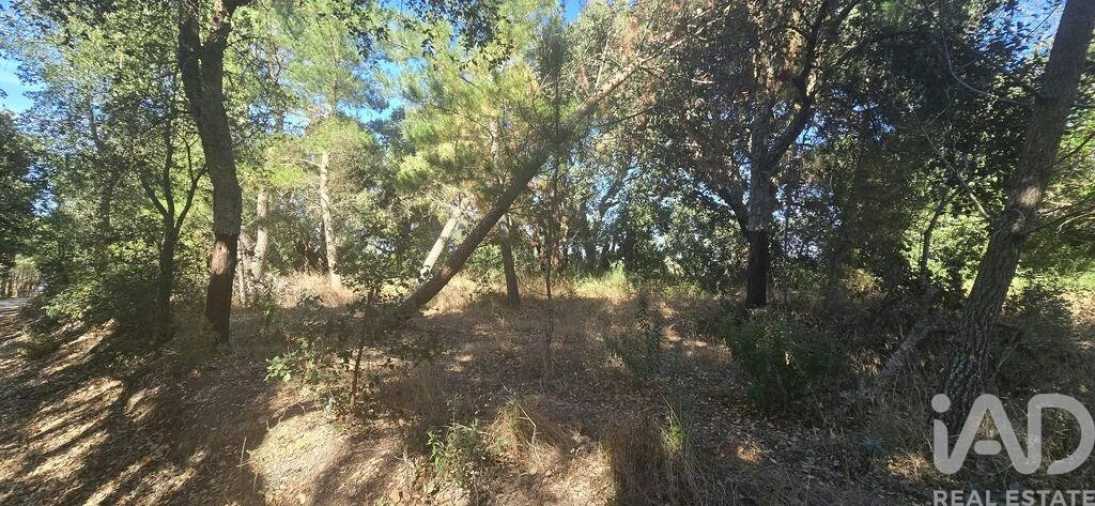 Terreno para Venda em Cadaval e Pêro Moniz Foto 5