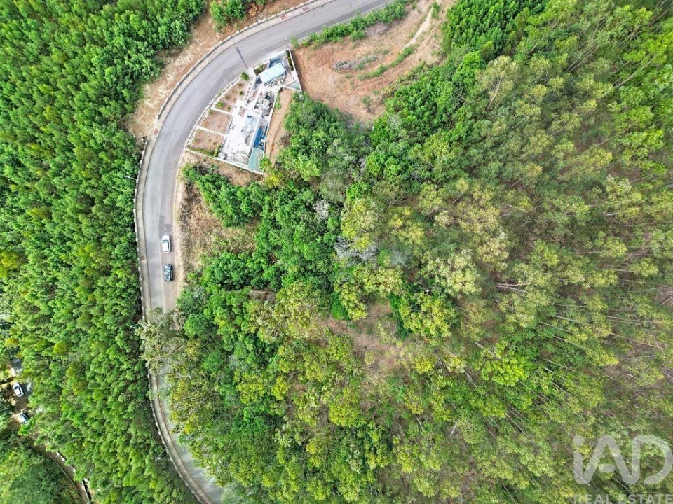 Terreno para Venda em Campanario Foto 8