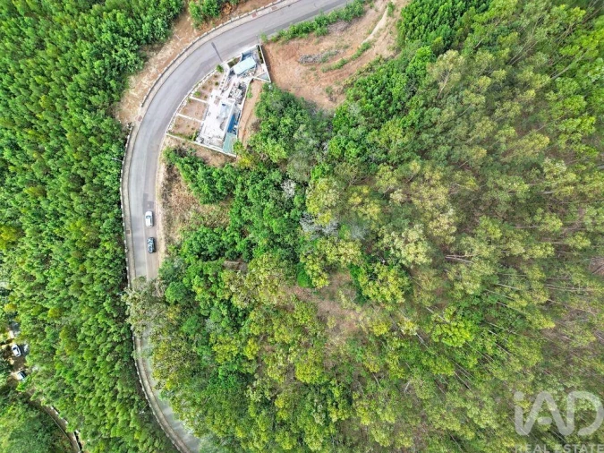 Terreno para Venda em Campanario Foto 8