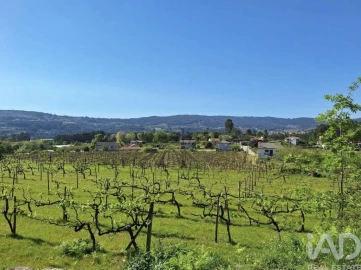 Quinta para Venda em Vila Boa do Bispo