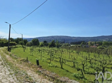 Quinta para Venda em Vila Boa do Bispo