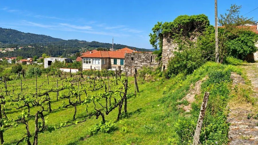 Quinta para Venda em Vila Boa do Bispo