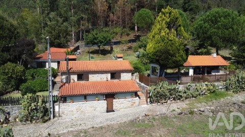 Quinta T3 para Venda em Couto de Esteves