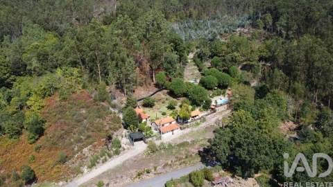 Quinta T3 para Venda em Couto de Esteves